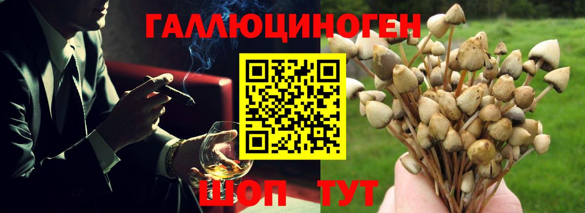 Минеральные Воды  Псилоцибиновые грибы GOLDEN TEACHER  Псилоцибиновые грибы Cubensis  Вход с VPN 